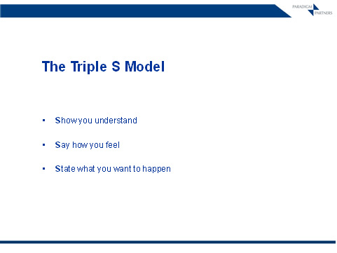 The_S_Model_Paradigm_Partners