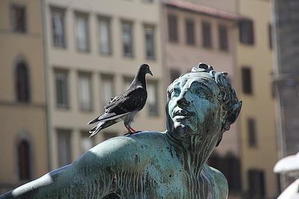 self_awareness_pigeon_statue