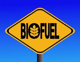 bio_fuel-1