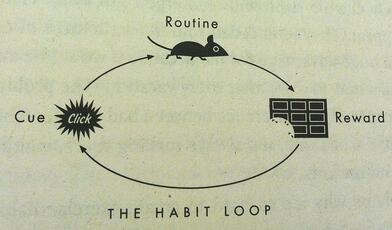 the-habit-loop-charles-duhigg-1024x601