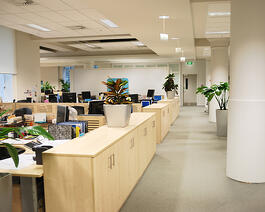 Workplace