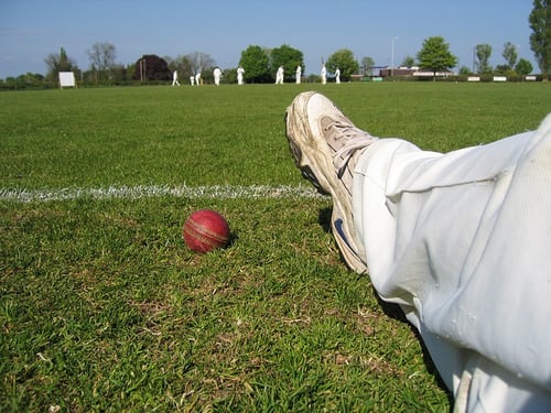 cricket-753938_640.jpg