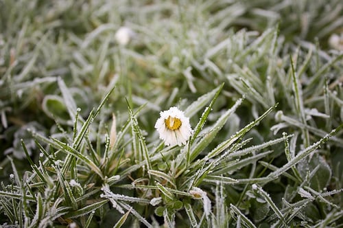 frost-1149002_640.jpg