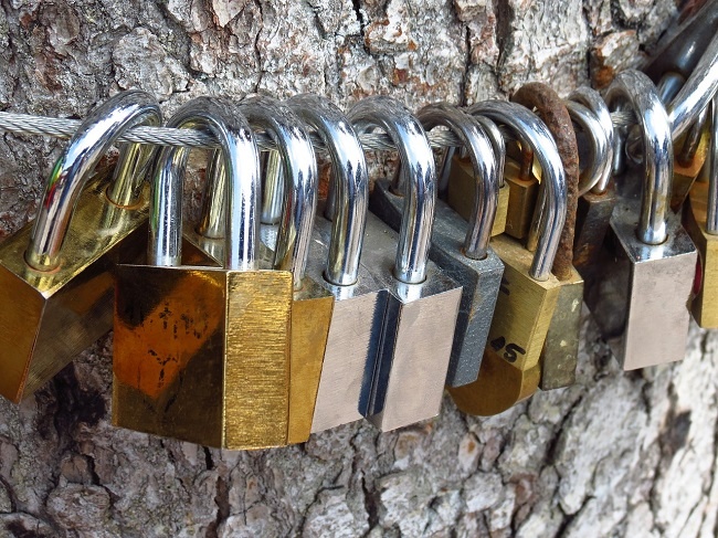 love-locks-1961156_1280-1.jpg